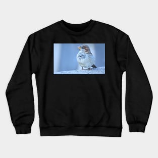 Sparrow Crewneck Sweatshirt